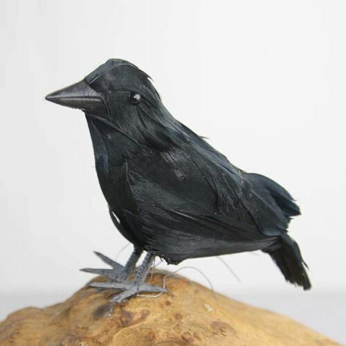 2 piezas Halloween Cuervo Negro Utilería Pájaro Falso Cuervo Emplumado Espeluznante Fiesta Decoración del Hogar - Imagen 6 de 14