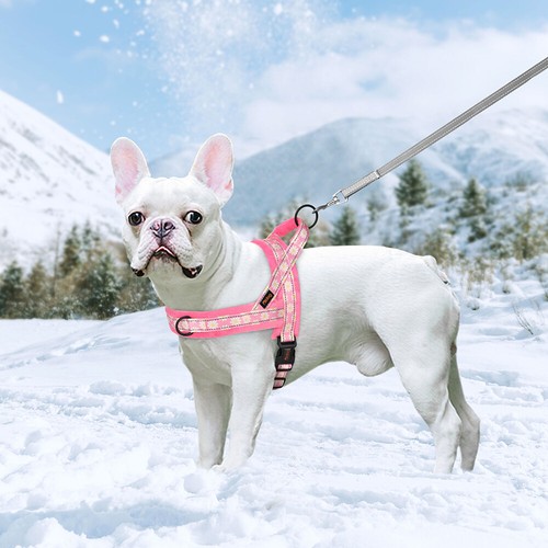 No Pull Dog Harness with Plush Padded Adjustable Escape proof Walking Vest S-L - Bild 10 von 15