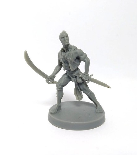 PIRATES (10) CONAN Monolith / Mythic / Heroquest / D&D / Pathfinder - Imagen 2 de 4