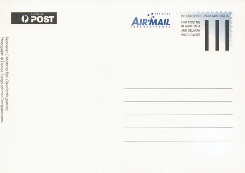 2007 Tasmanian Christmas Bell POSTCARD Maxicard FDI stamp as NEW, Cancel Hobart - Picture 2 of 2