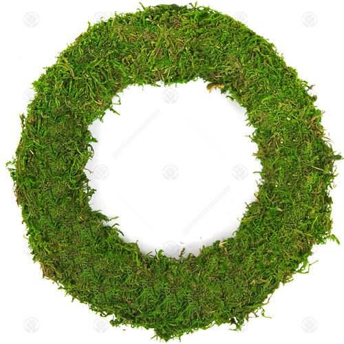 Padded Moss Effect Shapes | Christmas Wreath Making Bases Frames Funeral Grave - Picture 42 of 103