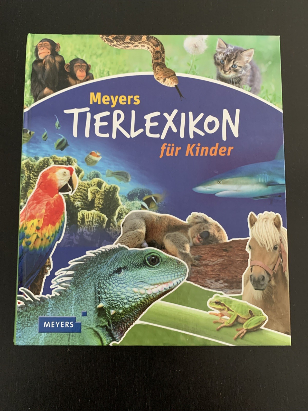Bild 1 von 5