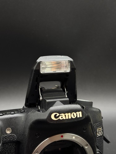 Canon EOS 50D - Imagen 6 de 11