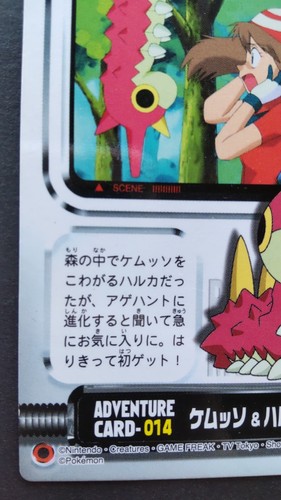 Wurmple & May Pokemon ADVENTURE Card Japanese Nintendo Game Rare 014 F/S - Picture 3 of 10