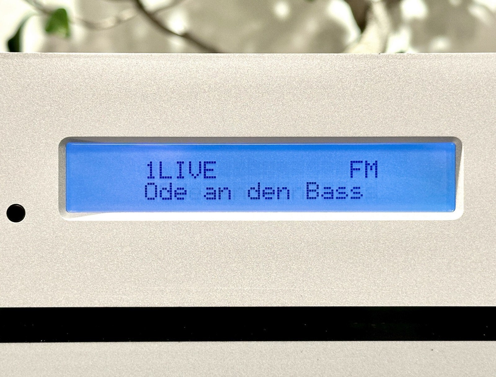Bild 9 von 20
