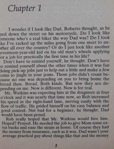 Lonely Rider by Elizabeth Van Steenwyk small Paperback Book 183 Pages, 1983 - Picture 6 of 6