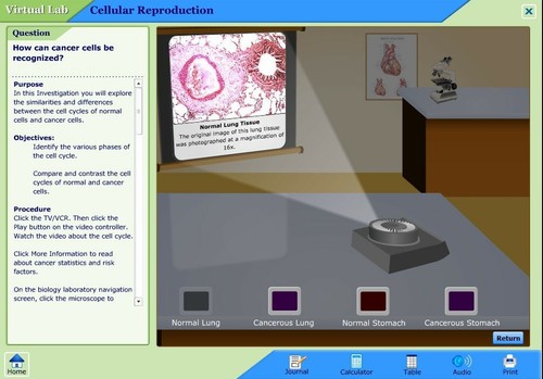 BIOLOGY - VIRTUAL LABS CD-ROM  (2007, Glencoe/McGraw-Hill)  - Windows/Macintosh - Picture 8 of 8