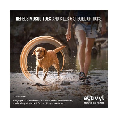Activyl Protector Band for Dogs