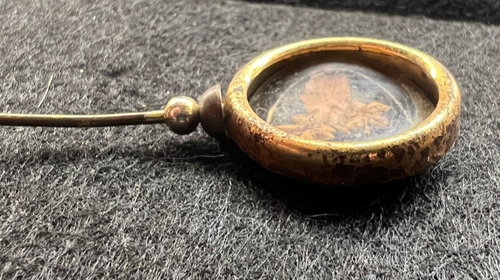 VINTAGE PRESSED DRIED FLOWERS GOLD TONE METAL FRAME STICK PIN (POOR ORDER) - Imagen 3 de 7