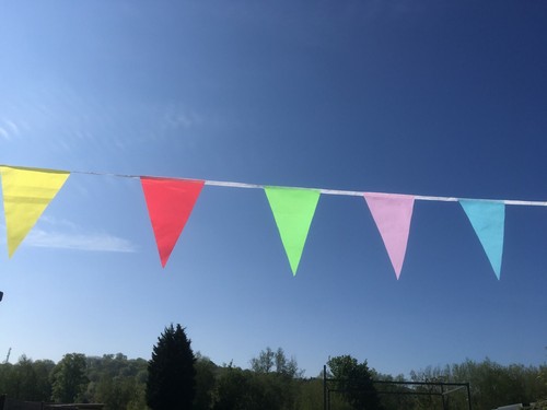 SALE BARGAIN Cheerful multi-coloured 20 flag fabric bunting with Free Post - Picture 19 of 26