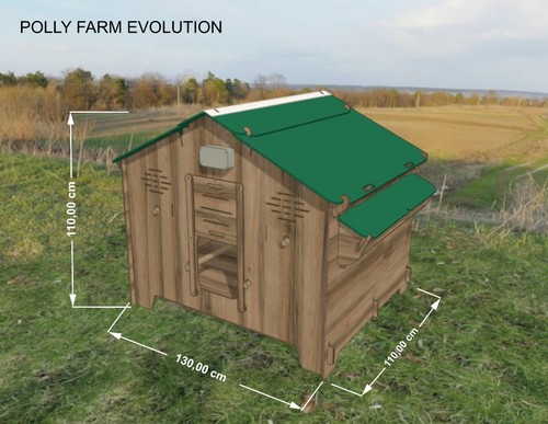 Pollaio per 12 / 15 galline con 3 nidi rialzati 3 posatoi Polly Farm Evo 3XL - Imagen 9 de 16