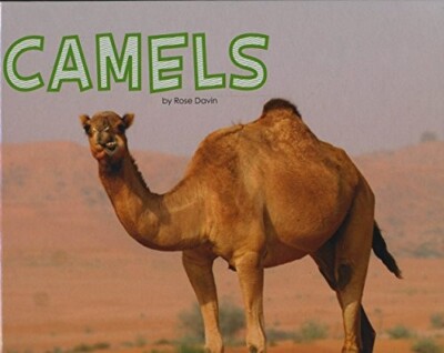Camels by Rose Davin (Hardcover) Book Facts Learning for children kids 5-7