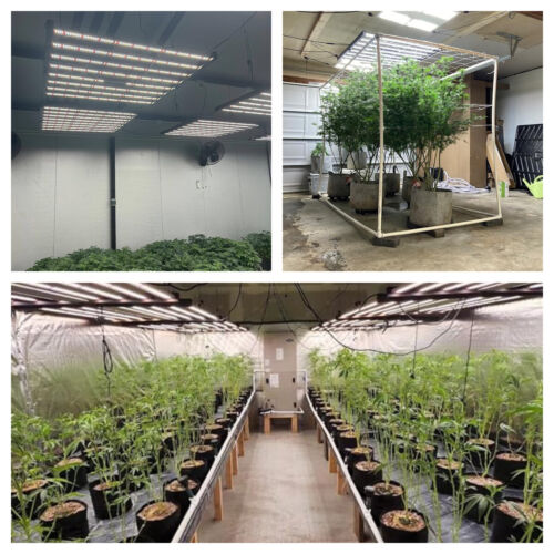 Phlizon 640w 800w LED Grow Light 8Bar lámpara para plantas de espectro completo plantas de interior - Imagen 44 de 70
