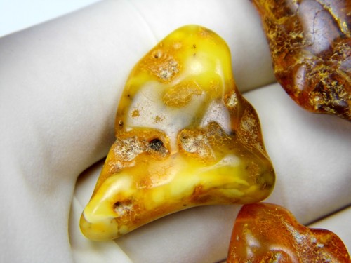Lot of 4 Baltic Amber Stones 13gr. Brown Green Yellow Natural Genuine 0982 - Picture 8 of 17
