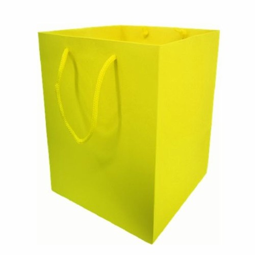 Glossy Vibrant Flower Gift Bag, Bouquet Vase | Transportation | Display Present - Picture 25 of 36