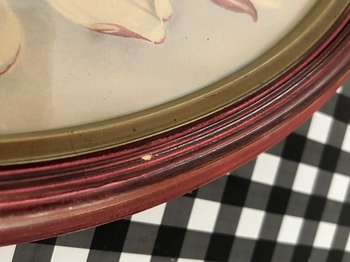 Vintage Paar Magnolien Lithographien oval IBF Co 14x11" einige Dellen auf Rahmen - Bild 6 von 9