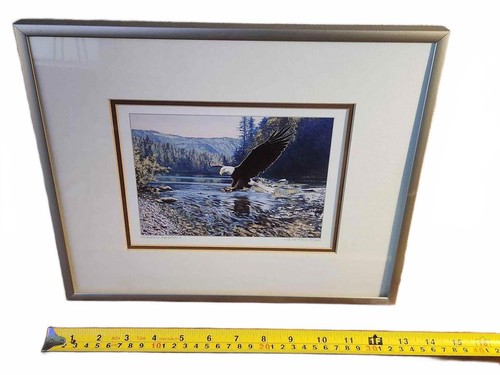 Liz Mitten Ryan Eagle Print | Framed Decor 10 x 12