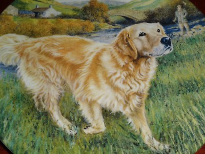 THE GOLDEN RETRIEVER Man/'s Best Friend Dog Breeds Perikim Collectors Card Set