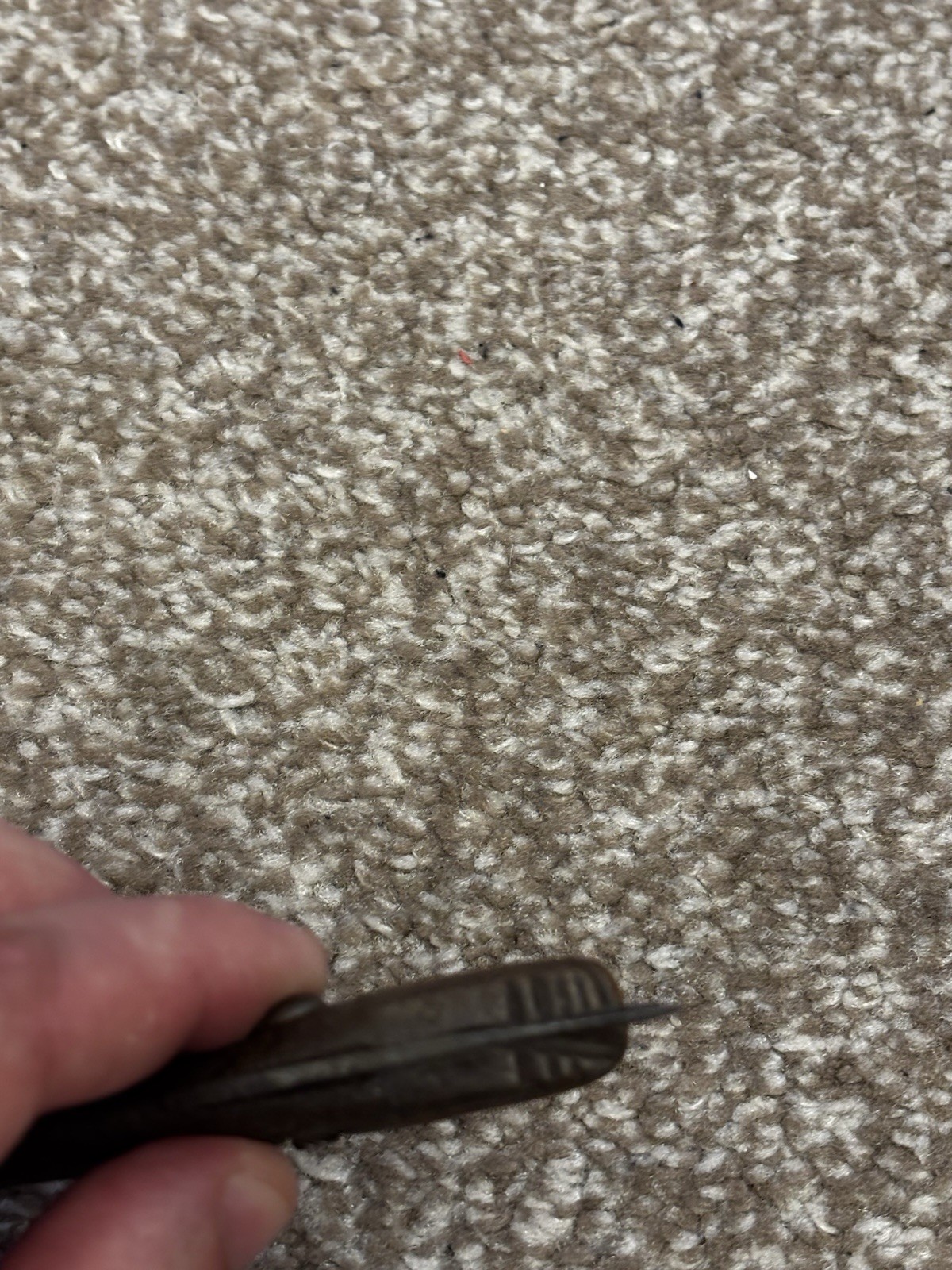Picture 12 of 17