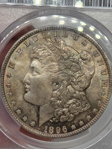1896 $1 Morgan Dollar PCGS MS65 Toned