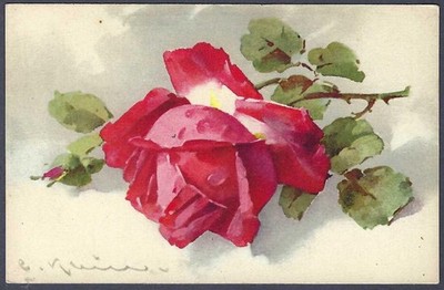 Rote Rose - Katharina Klein Kunst Postkarte - Alpha Verlag