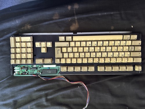 Amiga A500/plus Mitsumi Tastatur Vergilbungserscheinungen getestet 1 Taste funktioniert nicht - Bild 5 von 7