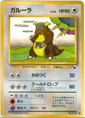 Kさん専用ポケモンパール ポケモンスケールワールド ジョウト地方 ミカン&ハガネール