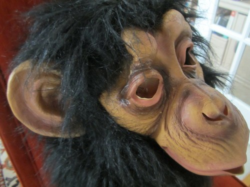 Fun World Div Mask FULL HEAD Monkey Planet of the Apes Halloween Mask 2014 RARE