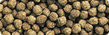 Hikari Oranda Gold 300g Goldfish Lionhead Mini Pellet Fish Food Colour Enhancing - Picture 2 of 2