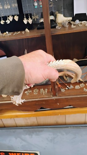 Carved DEER antler DRAGON sapphire Antlers Carving  BOneCaRvER Knife Handle ?  - Picture 8 of 9