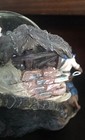Bild 12 von 16