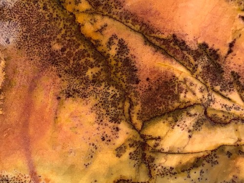 Yellow Feather Jasper Collectors Slab - Utah 3.25"x3.25" Lapidary Rough Slab - Picture 6 of 12