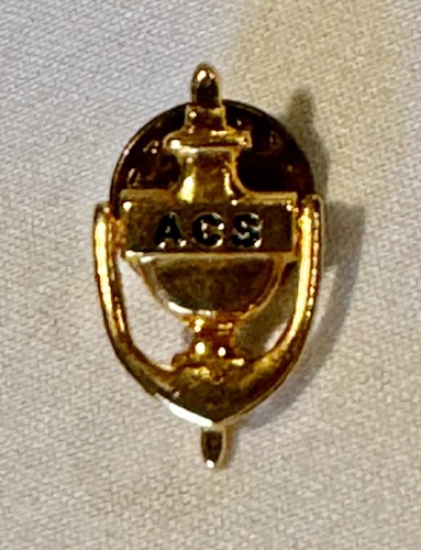 Vtg American Cancer Society ACS Volunteer Service Gold Tone Lapel Pin - Picture 3 of 5