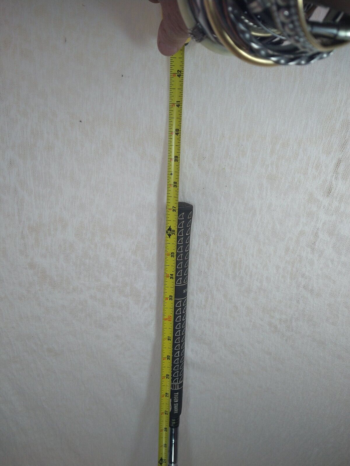 Picture 16 of 17