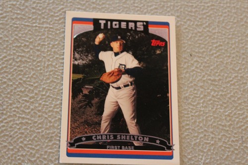 2006 Topps Baseball Detroit Tiger subset Card Complete Finish Fill Your List Set - Picture 15 of 16