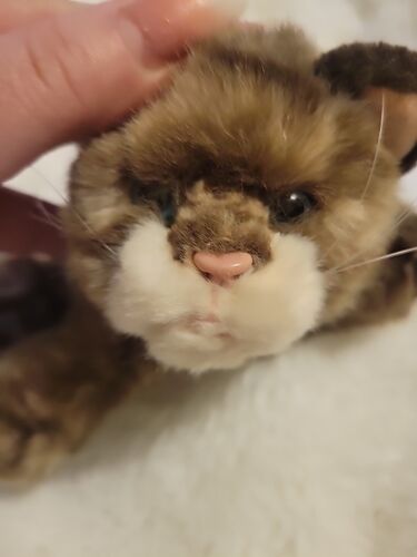 Russ Berrie & Co. Whiskers 6” Brown Striped Tabby Baby Kitten Plush Blue Eyes - Picture 6 of 7