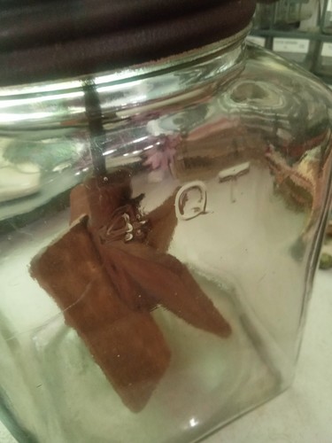 Vintage 4 Quart Churn with Turning Wheel and Wood Paddle - Picture 5 of 7