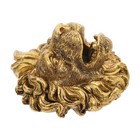  Lion Head Wall Fountain Nozzle Garden Water Feature Spitter Resin Material for