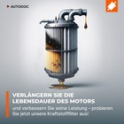 Bild 6 von 12