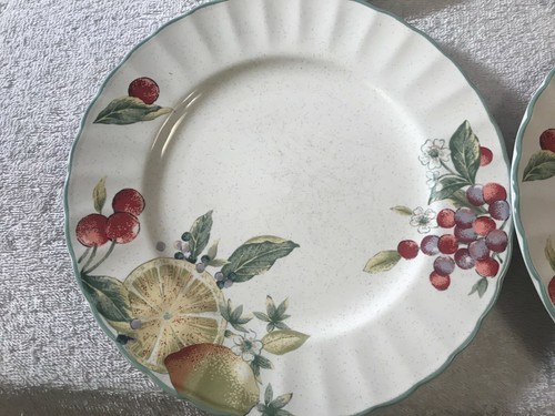 Mikasa Natures Scenery 4er Set Salatteller MAX3522 - Bild 4 von 8