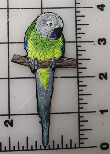 Perico Oscuro, Cabeza Oscura Loro Weddells, Parche Bordado Pájaro - Imagen 3 de 4