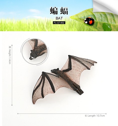 Simulated insect model, spider beetle, children's cognitive animal toy - Picture 50 of 58