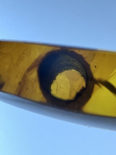 Strange Biologic Cylinder Fossil, Genuine Burmite Amber Fossil Inclusion, 98myo - Picture 3 of 6