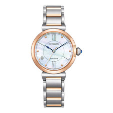 Citizen Damenuhr EM1074-82D Eco-Drive Edelstahl 5 ATM