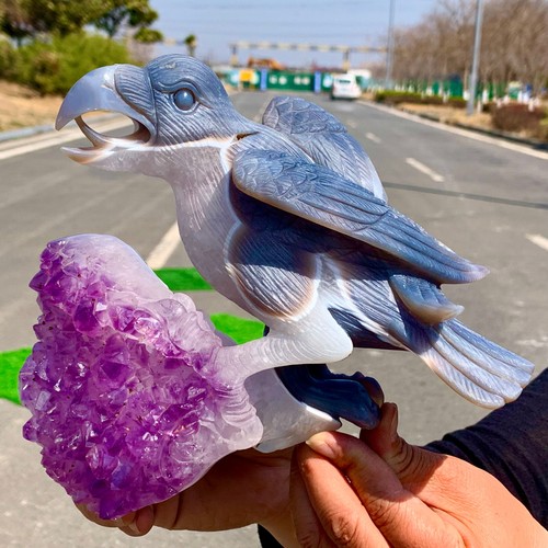 4.27LB Natural agate amethyst crystal handmade bird crystal treatment - 第 11/24 張圖片