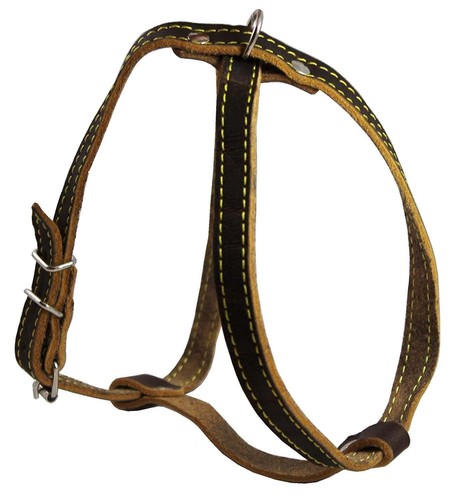 Hundegeschirr aus echtem Leder, 12""-16"" Brustumfang 1/2"" breit, Yorkshire Terrier, Pommerschan - Bild 2 von 3