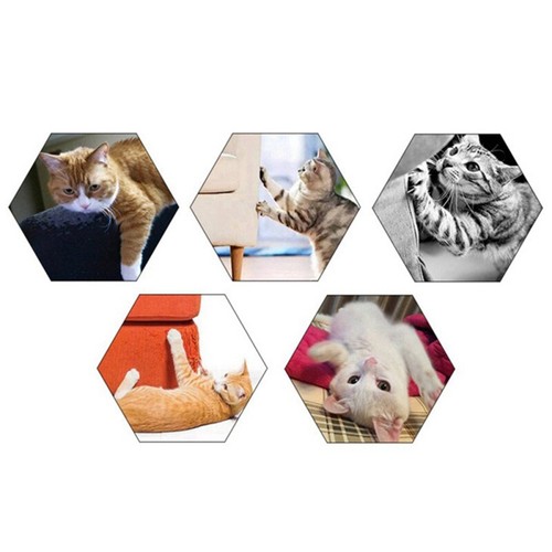 US Pet Cat Scratcher Board Scratching Post Mat Toy For Tower Climbing Tree Pad  - Bild 10 von 14