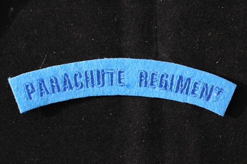 WW2 Re-enactors Shoulder and Title Patches - 51 Types - Picture 14 of 61