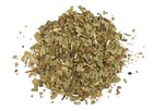 Sassafras Leaf – Wildcrafted Dried Herb for Tea & Natural Remedies