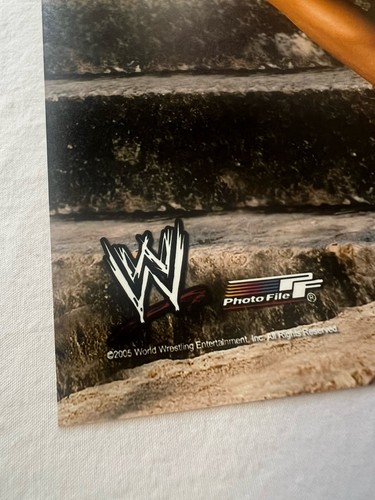 Torrie Wilson WWF foto autentica firmata autografata 10x8 JSA COA - Foto 4 di 7